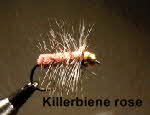 killer biene in rose killer biene in rose