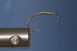 Bachflohkrebs 1