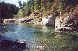 Heber 10cm