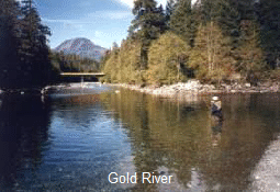 Image11