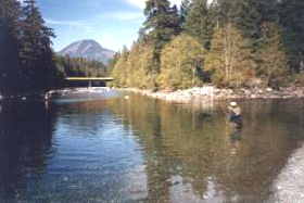 Natur pur