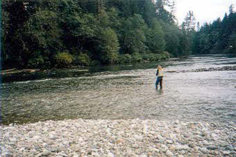 Flussmuendung Ash Flussmündung Ash