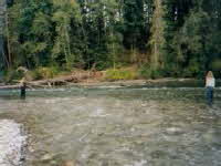 Der Fluss Ash
