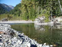 Steelhead am Coquihalla Steelhead am Coquihalla