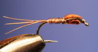pheasenttailstart