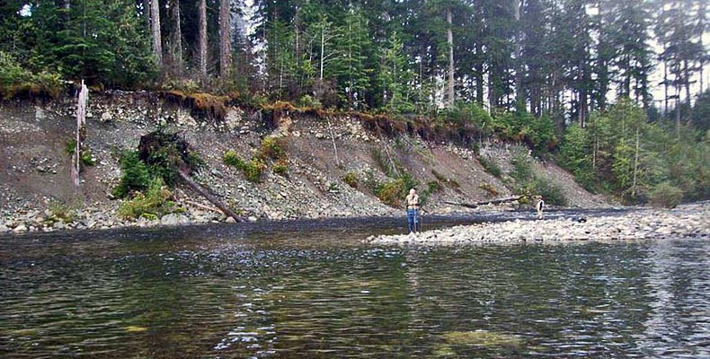 A nice place for fly fishing on the Gold River