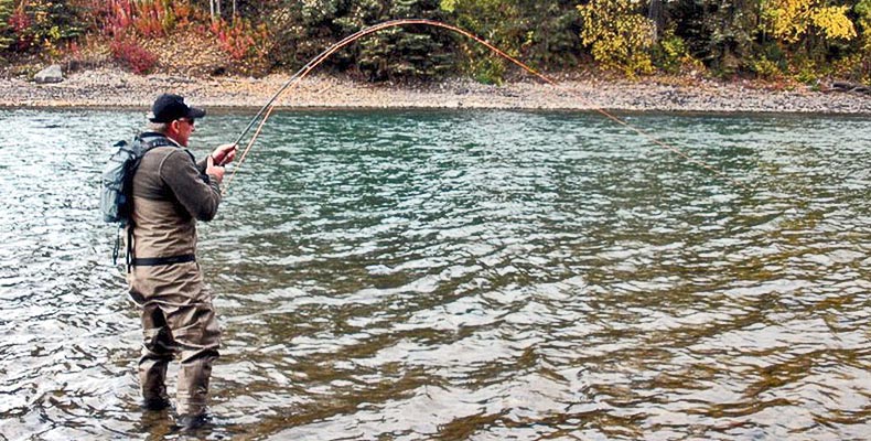 Wolfgang Fabisch fight a Steelhead with a fly rod on the Bulkley River