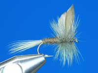 dry fly blue quill