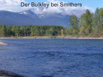 Bulkley River in Britisch Kolumbien Kanada bei Smithers hat Steelhead