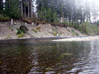 Muchalat River and Gold River