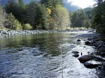 nice Gold river run for Steelhead fly fishing
