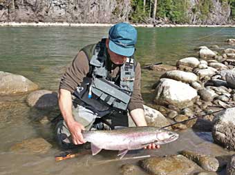 steelhead caught during fly fishing at the copper