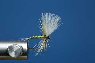 CDC BWO, learning fly tying, dry flies twelve