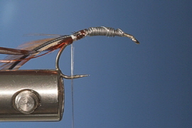 Bachflohkrebs 4