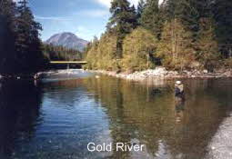 am Gold River