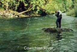 Rupert am Cowichian River