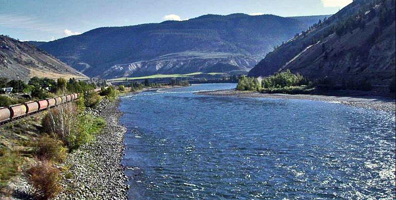 The Thompson River is fully loaded with salmon