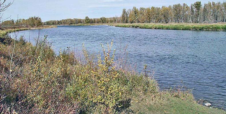 the Bow river at Calgary