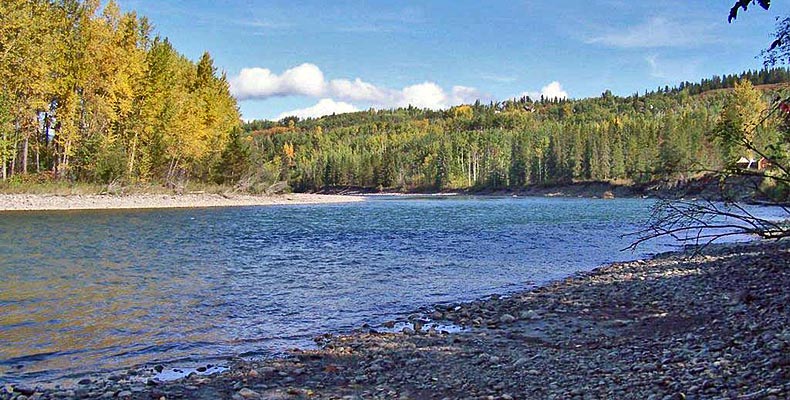 Fly fishing on the Bulkley river above Smithers
