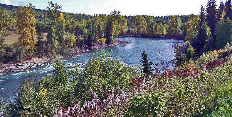 The Bulkley river at Trout creek