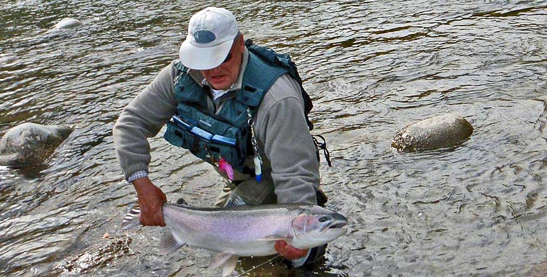 Monster Steelhead caught by Wolfgang Fabisch while fly fishing