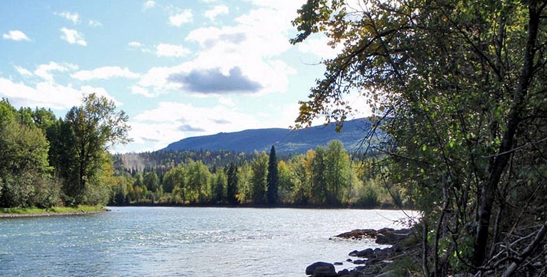 The Bulkley river at Smithers