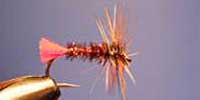 fly tying how to tie a red tag