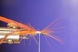 Simple Dry Fly Trockenfliege Fliegenbinden neun