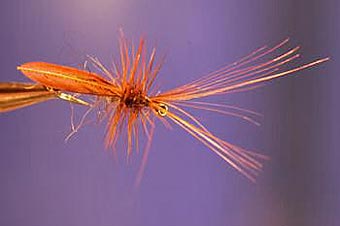 Simple Dry Fly Trockenfliegen Fliegenbinden lernen mit Fabisch