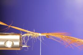 Simple Dry Fly Trockenfliege Fliegenbinden sechs