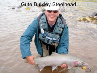 Wolfgang Fabisch am Bulkley mit guter Steelhead beim Fliegenfischen