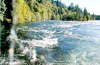 Campbell River zum Fliegenfischen auf Stealhead in Kanada