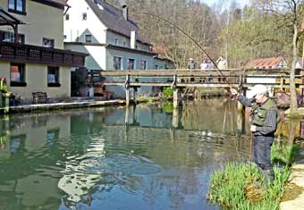 Fliegenfischen im Stadtbereich der Pegnitz in Franken