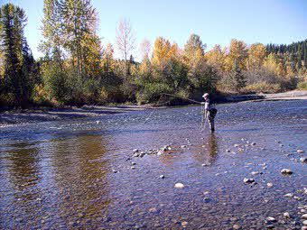 the Horsefly River