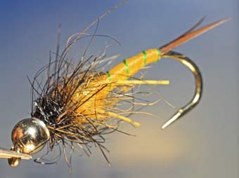 Fly fishing with nymphs for Trout, Steelhead and Grayling