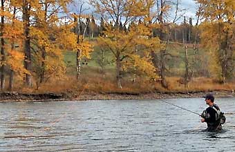 Fly fishing with nymph upstream, nymphing for Trout, Steelhead or Grayling