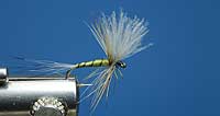 fly tying instructions how to tie a bwo cdc dry fly