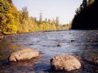 Der Fluss Campbell