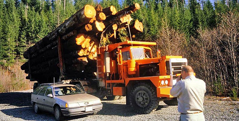 Großer Holzlaster auf Vancouver Island