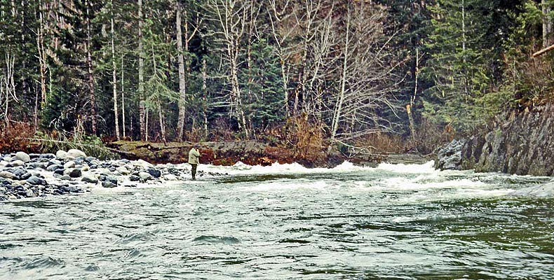 Schöner Steelhead Pool am Heber River