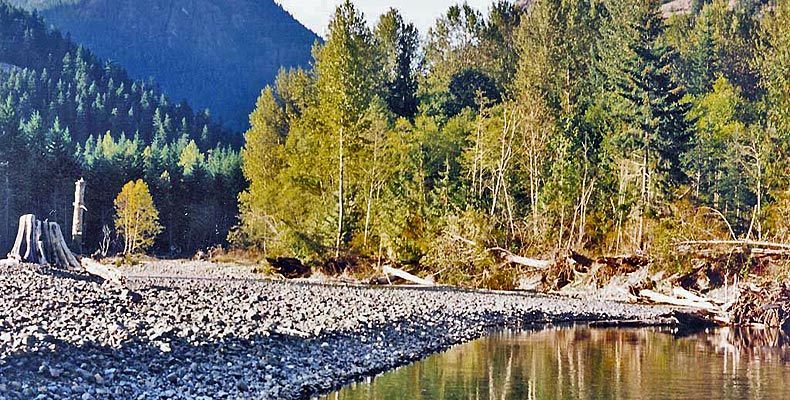 Der Elk River auf Vancouver Island