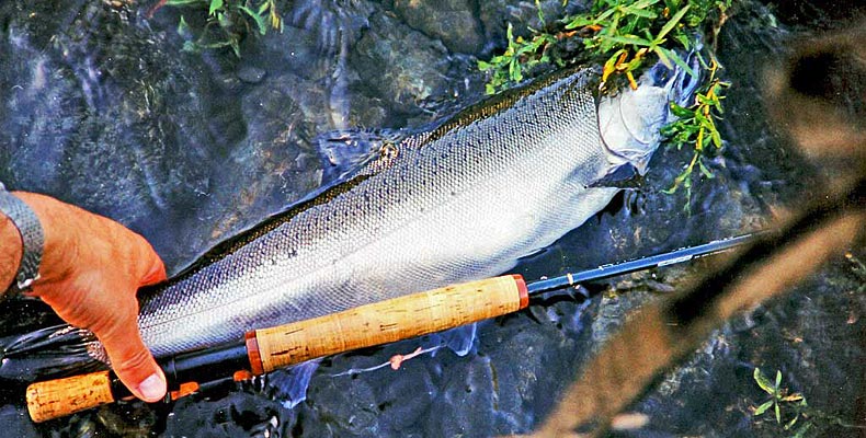 Fliegenfischen am Coquihalla