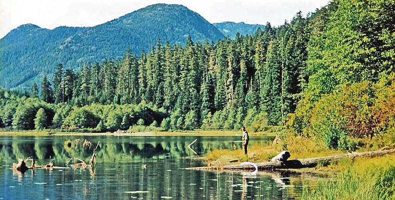 Steelhead beim Fliegefischen am Coquihalla im Drill