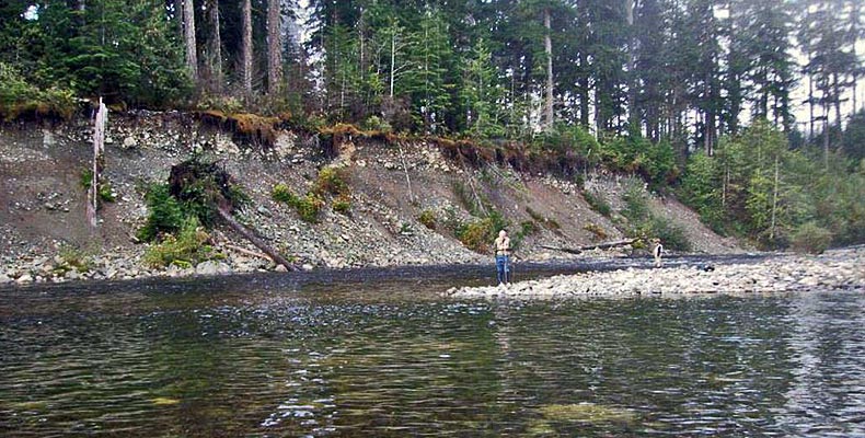 Eine tolle Stelle zum Fliegenfischen am Gold River