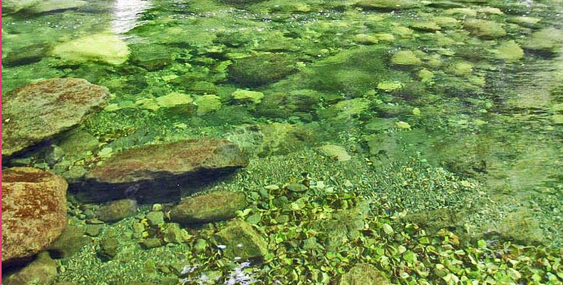 Der Heber River in Gold River auf Vancouver Island