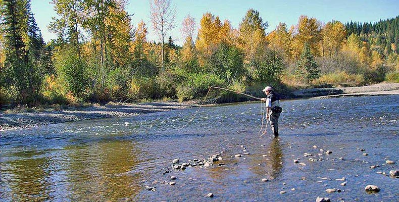 Lou fischt mit der Nymphe am Horsefly River