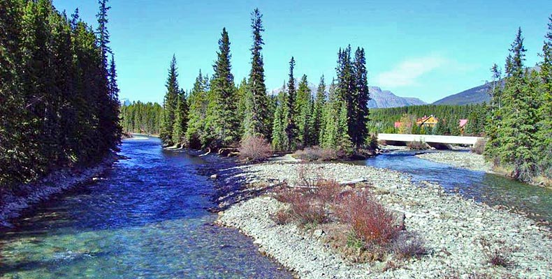 Der Bow River unterhalb von Banff
