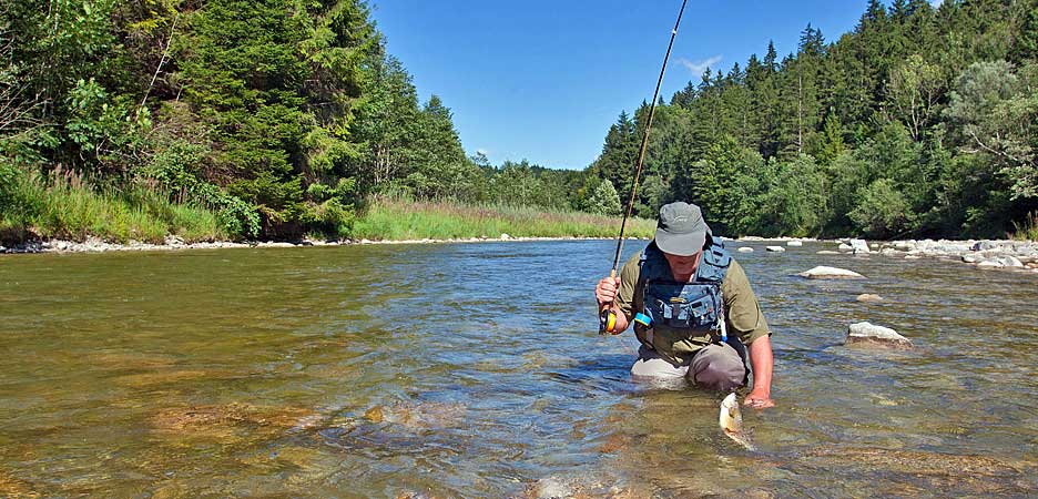 Fly fishing on the Ammer