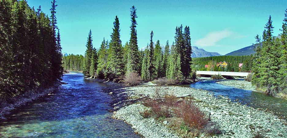 the Bow River